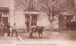 13 MAILLANE REPRODUCTION COURSE DE TAUREAUX A LA BOURGINE BOUCHES-DU-RHONE - Lieux