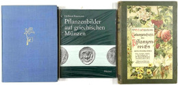 3 Wichtige Bücher Zur Botanik Und Zu Pflanzen In Der Numismatik Und Kunstgeschichte: BEHLING, LOTTLISA. Die Pflanze In D - Autres & Non Classés