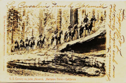 12860   - USA  -  Californie - YOSEMITE :  U.S. Cavalery On Fallen Monarck,  Mariposa Grove -  Prise En 1904   RARE - Yosemite