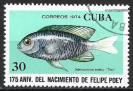 Cuba 1974. Scott #1898 (U) Felipe Poey (1799-1891), Naturalist, Fish, Eupomacentrus Partitus - Oblitérés