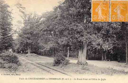 28 - Forêt De CHATEAUNEUF-en-THIMERAIS - Le Rond-Point Et Allée De Jaglu - Châteauneuf