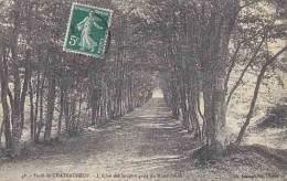 28 - Forêt De CHATEAUNEUF -  Allée Des Soupirs  Prise Du Rond-Point - Châteauneuf