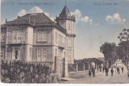 POSTCARD PORTUGAL - SANTA COMBA DÃO - AVENIDA SANTO ESTEVÃO - Viseu