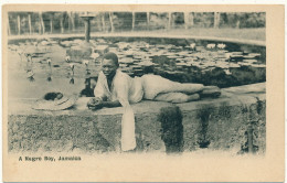 JAMAICA - A Negro Boy - Jamaïque