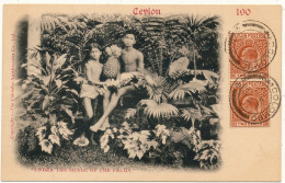 CEYLON - Under The Shade Of The Palms - Sri Lanka (Ceylon)