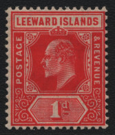 Leeward-Inseln 1907 - Mi-Nr. 38 A * - MH - Edward VII - Leeward  Islands