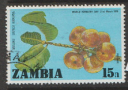 Zambia  1976  SG  251   Forestry Day Fine Used - Zambia (1965-...)