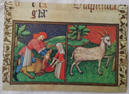 December - Labor: Slaughtering A Pig - Zodiac Capricorn Oxford Bodleian Library  (1440-1450) {b1} - Museums