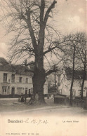 BELGIQUE - Bruxelles-ville - Le Vieux Tilleul à Boendael - Carte Postale Ancienne - Brussels (City)