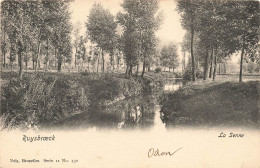 BELGIQUE - Ruysbroeck - Vue Sur La Senne - Carte Postale Ancienne - Andere & Zonder Classificatie