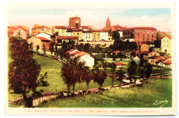 CPA Carte Postale / 43 Haute-Loire, Velay, Saugues / Léma, Léon Margerit - 11327 / Vue Centrale - Belle Station Estivale - Saugues