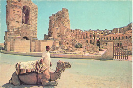 TUNISIE - El Jem - L'Amphithéâtre Romain - Colorisé - Carte Postale - Tunisie