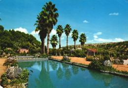 Delcampe - MEKNES, POOL, ARCHITECTURE, PARK, MOROCCO - Meknes