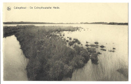 Belgique  -  Calmpthout  Ou  Kalmthout  -  De Calmpthoutsche Heide - Kalmthout