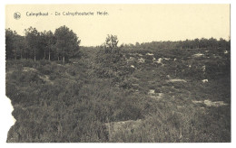 Belgique  -  Calmpthout  Ou  Kalmthout  -  De Calmpthoutsche Heide - Kalmthout