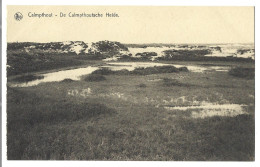 Belgique  -  Calmpthout  Ou  Kalmthout  -  De Calmpthoutsche Heide - Kalmthout