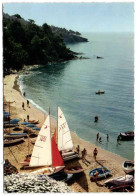 Le Rayol - Un Coin De La Plage Depuis L'Hôtel Du Bailli De Suffren - Rayol-Canadel-sur-Mer