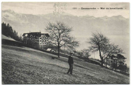 Baumaroche - Mer De Brouillards - Chardonne