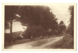 Belgique  - Vieuxville  Ou Vieux Ville  - Bomal  -  La Route Et Ruines De Logne - Ferrieres