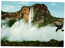 Venzuela - Salto Angel - Venezuela