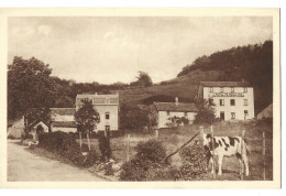 Belgique  - Vieuxville  Ou Vieux Ville  - Bomal  -  Hotel Belle Vue  Et Chapelle Saint Roch - Ferrières