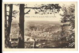 Belgique  -   Hamoir Sur Ourthe -  Point De Vue Sur La Vallee De L'ourthe - Hamoir