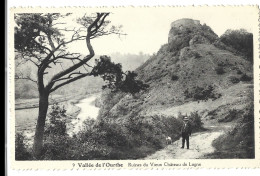 Belgique  -   Hamoir Sur Ourthe - Environs  -  Vallee De L'ourthe - Ruines Du Vieux Chateau De Logne - Hamoir
