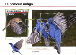 A9573 - TCHAD -  ERROR MISPERF Stamp Sheet - 2021 - Indigo Sparrow, Birds - Spatzen