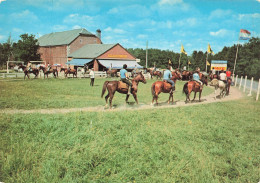 BELGIQUE - Barvaux Sur Ourthe - Golf Miniature Et Le Baujolais - Chevaux - Carte Postale - Otros & Sin Clasificación