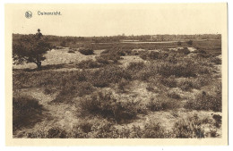 Belgique  -  Duinenzicht  - Vue - Kalmthout