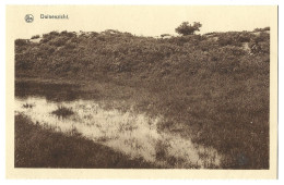 Belgique  -  Duinenzicht  - Vue - Kalmthout