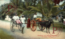 SRI LANKA CEYLON - CEYLAN. COLOMBO - Rickshaw And Bullock Hackery - Sri Lanka (Ceylon)