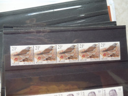 Belgique Belgie  Bande Rouleau R R 89 Parfait Etat Mnh ** Neuf  Buzin - Coil Stamps