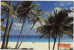 Barbades - Barbados : Harrismith Beach, Saint Philip. La Plage Harrismith à Saint Philip (circulée) - Barbades