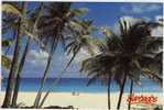 Barbades - Barbados : Harrismith Beach, Saint Philip. La Plage Harrismith à Saint Philip (circulée) - Barbados (Barbuda)