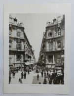 78135 FOTOGRAFIA Stampa - Palermo Via Maqueda 1895 Ca. - La Repubblica Alinari - Europa