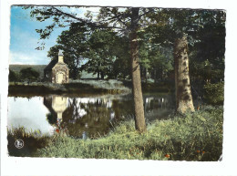 Nassogne  L'Etang Et La Chapelle St-Roch - Nassogne