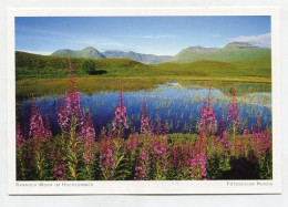 AK 177675 SCOTLAND - Rannoch Moor Im Hochsommer - Argyllshire