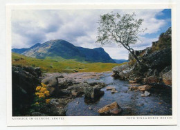 AK 177687 SCOTLAND - Ausblick Im Glencoe - Argyllshire