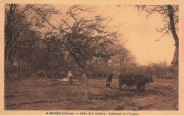 Azérable * Labour Labourage Scène Agricole Attelage Boeufs * Allée Des Chênes , Intérieur De L'enclos * Agriculture - Other & Unclassified