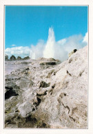 1 AK Neuseeland / New Zealand * Geysir Im Roturua-Park Auf Der Nordinsel Neuseelands - Rückseite Bedruckt - Siehe Scan - Nouvelle-Zélande