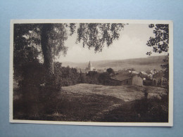 Herbeumont - Sentier Montant Aux Ruines Du Château - Herbeumont