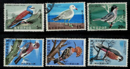 BIRDS - 1969 - CYPRUS - USED 01 - Passeri