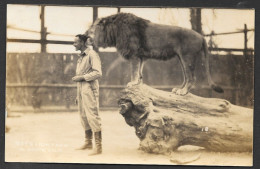 Animaux & Faune > C.P.A. Carte Photo - Lions Gay's Lion Farm El Monte California - Uncirculated   Non Circulée - Lions