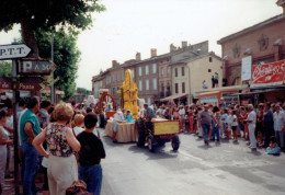 81   RABASTENS   Photo Carnaval Septembre 1994 - Rabastens