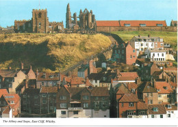 THE ABBEY AND STEPS, EAST CLIFF, WHITBY, YORKSHIRE, ENGLAND. UNUSED POSTCARD   Zf9 - Whitby