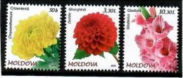 Moldova 2023 . Flora. Garden Flowers. 3v. - Moldawien (Moldau)