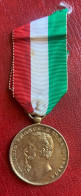 Italia Medalla Vittorio Emmanuel II - Altri & Non Classificati
