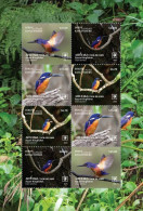 Aitutaki 2023, Birds, Kingfisher Sheetlet - Albatrosse & Sturmvögel