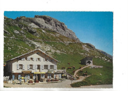 Le Grand-Bornand (74) : Le Restaurant DE LA POINTE BLANCHE Col De La Colombière En 1980 GF. - Le Grand Bornand